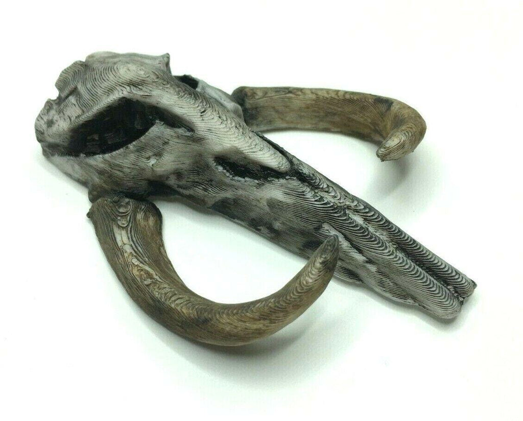 Mythosaur Skull Replica 260mm, Skull Wall Art, Skull Prop Replica, Skull Wall Art Replica, Sci-Fi Skull Wall Art, Mythosaur Skull Wall Art