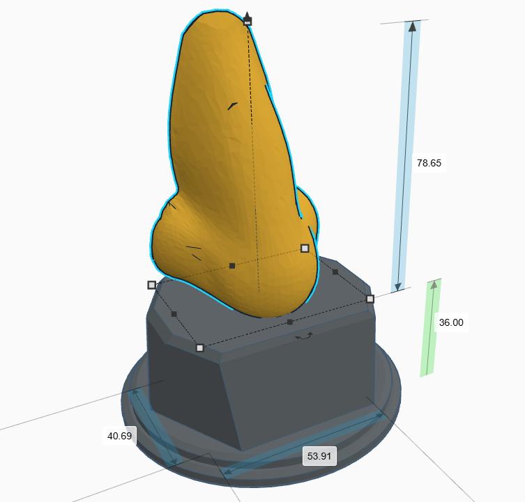 Personalised Nose Trophy, Best Nose Picker Trophy, Nosey Award Trophy, Big Nose Trophy, Nosiest Person Award, Funny Nose Gift, Nose Award
