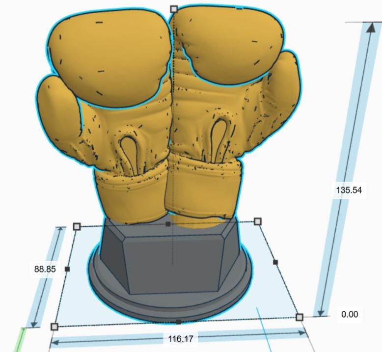 Personalised Boxing Trophy, Glove Trophy, Boxing Award Gift, Boxing Glove Trophy, Gift for Boxer, Boxing Club Trophy, Boxing Coach Trophy