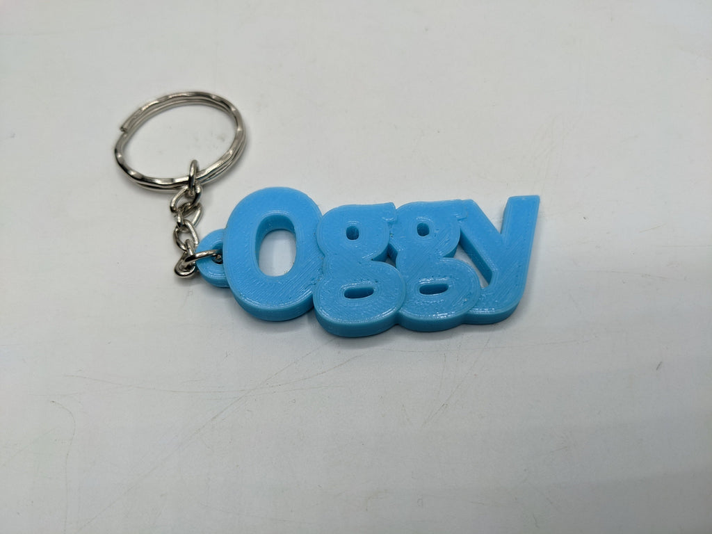 Nickname Keyring, Personalised Nickname Gift, Funny Nickname Bag Tag, Under 5 Pound, Joke Keyring, Rude Name Keyring, Custom Name Keyring