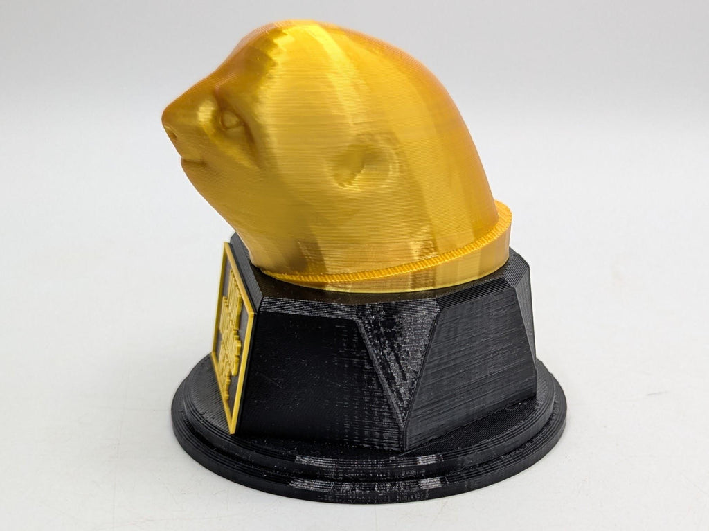 Personalised Sloth Trophy, Sloth Gift, Slow Trophy, Slowest Award, Custom Trophy, Office Trophy, Slowest Employee Award, Sloth Personalised