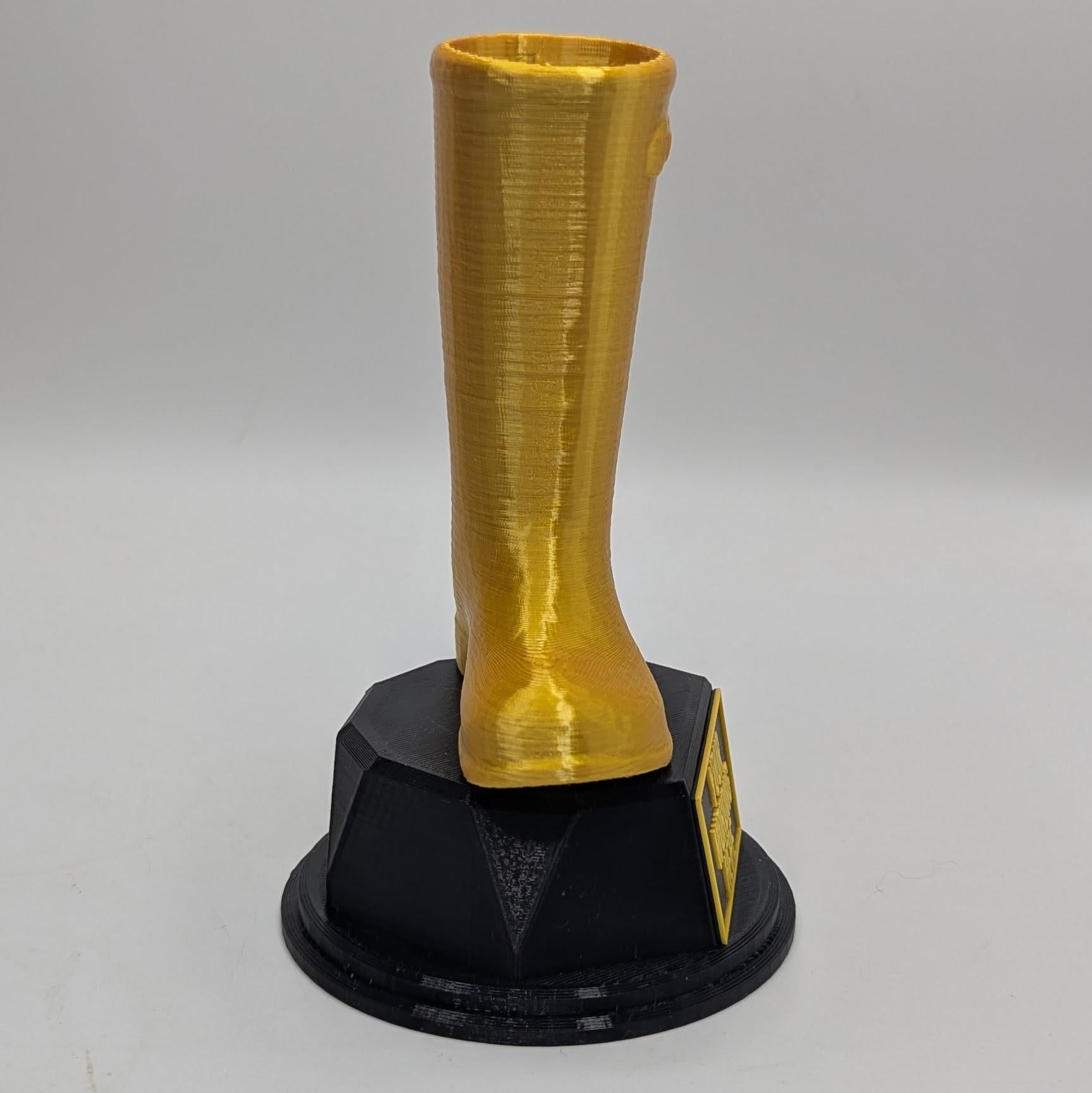 Personalised Wellington Trophy, Welly Boot Trophy, Wellington Boot Award, Custom Trophy, Joke Trophy Award, Welly Boot Gift, Welly Wanging