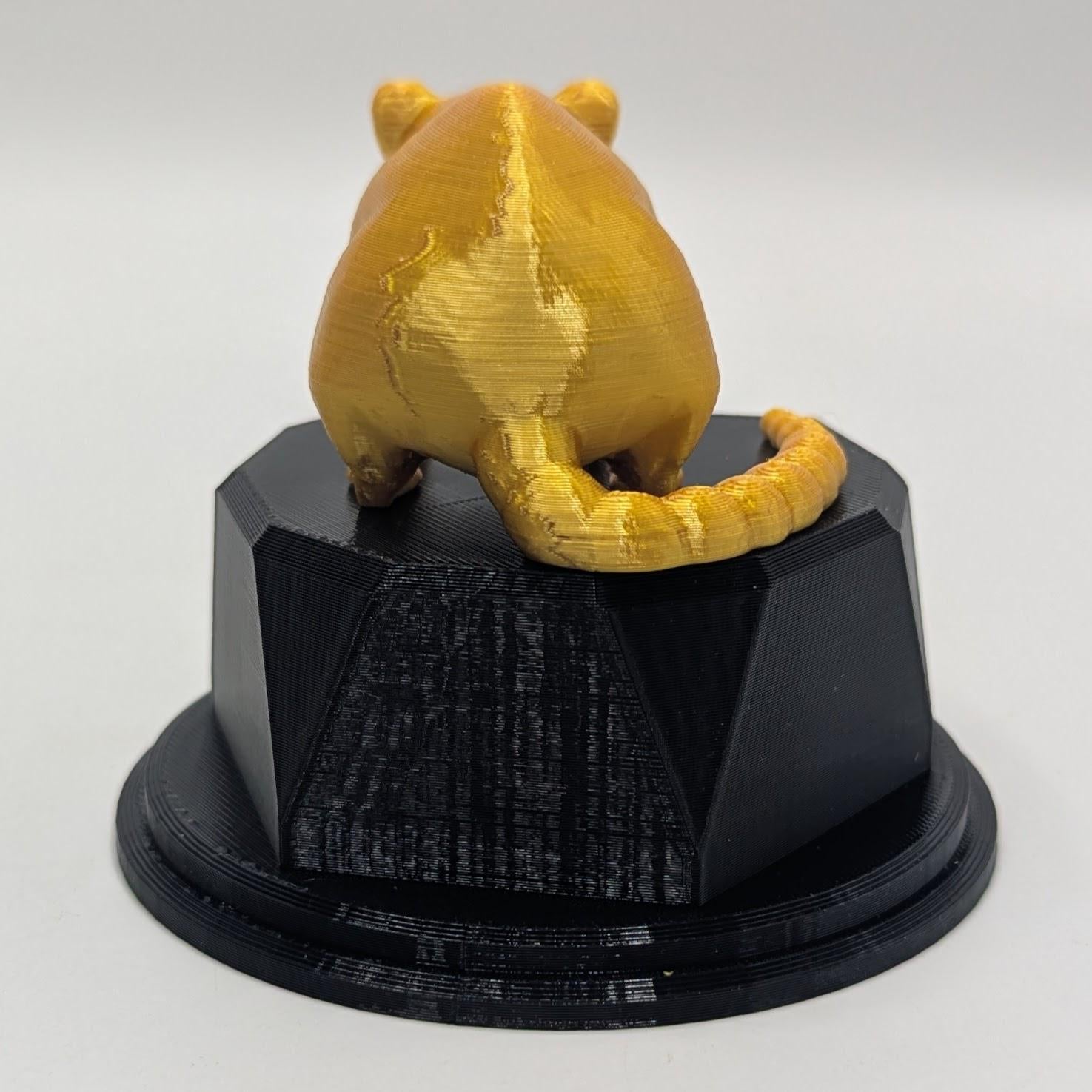 Personalised Rat Trophy, Dirty Rat Trophy, Biggest Rat Award, Custom Trophy, Rat Lover Gift, Funny Trophy, Office Rat Trophy, Rat Owner Gift