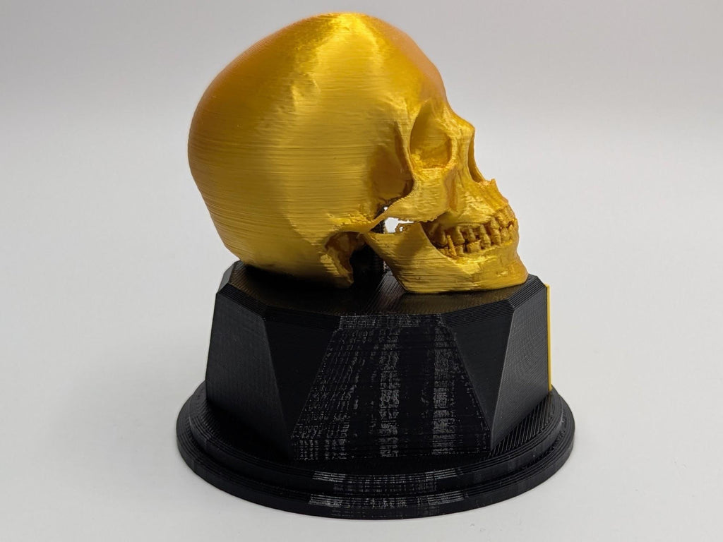 Personalised Skull Trophy, Human Skull Trophy, Gothic Lover Gift, Halloween Award, Custom Skull Lover Gift, Skull Shaped Trophy, Skull Award