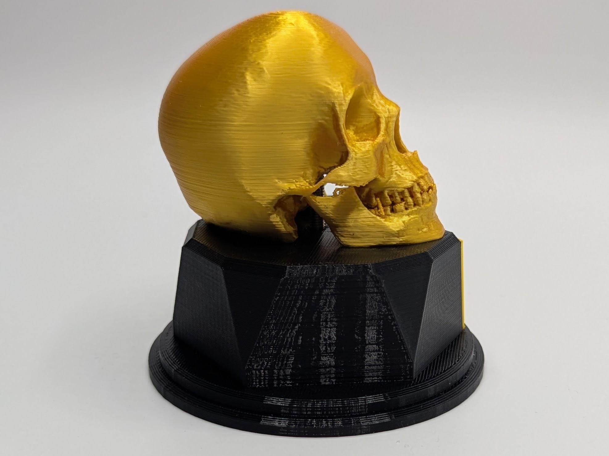 Personalised Skull Trophy, Human Skull Trophy, Gothic Lover Gift, Halloween Award, Custom Skull Lover Gift, Skull Shaped Trophy, Skull Award