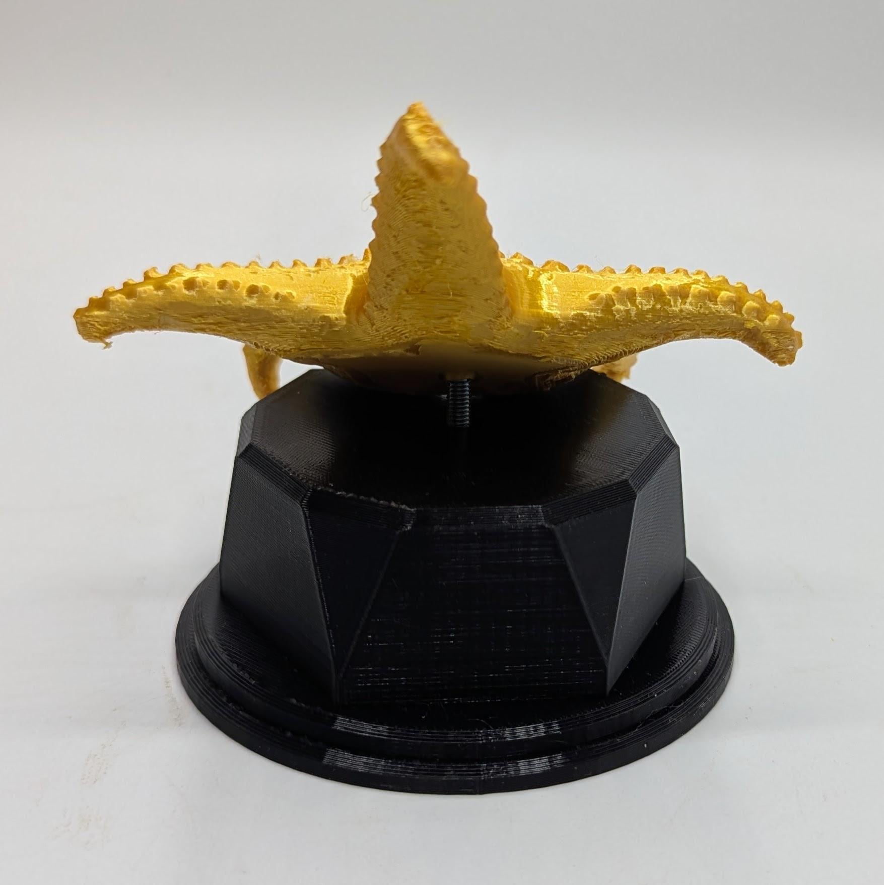 Personalised Starfish Trophy, Starfish Award Gift, Starfish Joke Gift, Custom Trophy Award, Starfish Shaped Gift, Chocolate Starfish Award