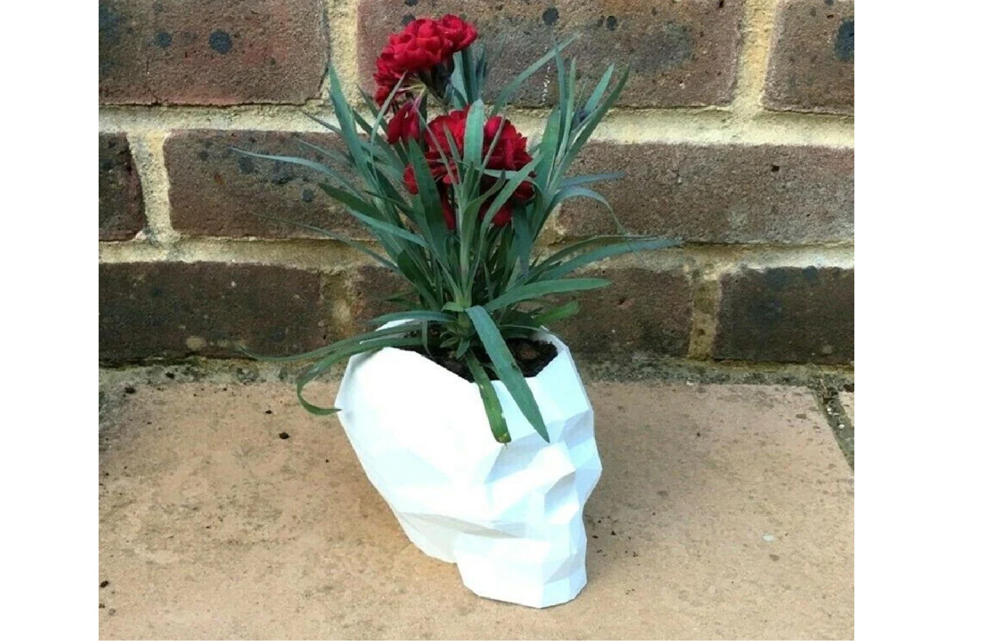 Skull Plant Pot, Skull Planter, Gothic Plant Pot Gift, Skull Ornament, Gothic Garden Pot, Skull Flower Pot, Gothic Home Decor, Skull Pot