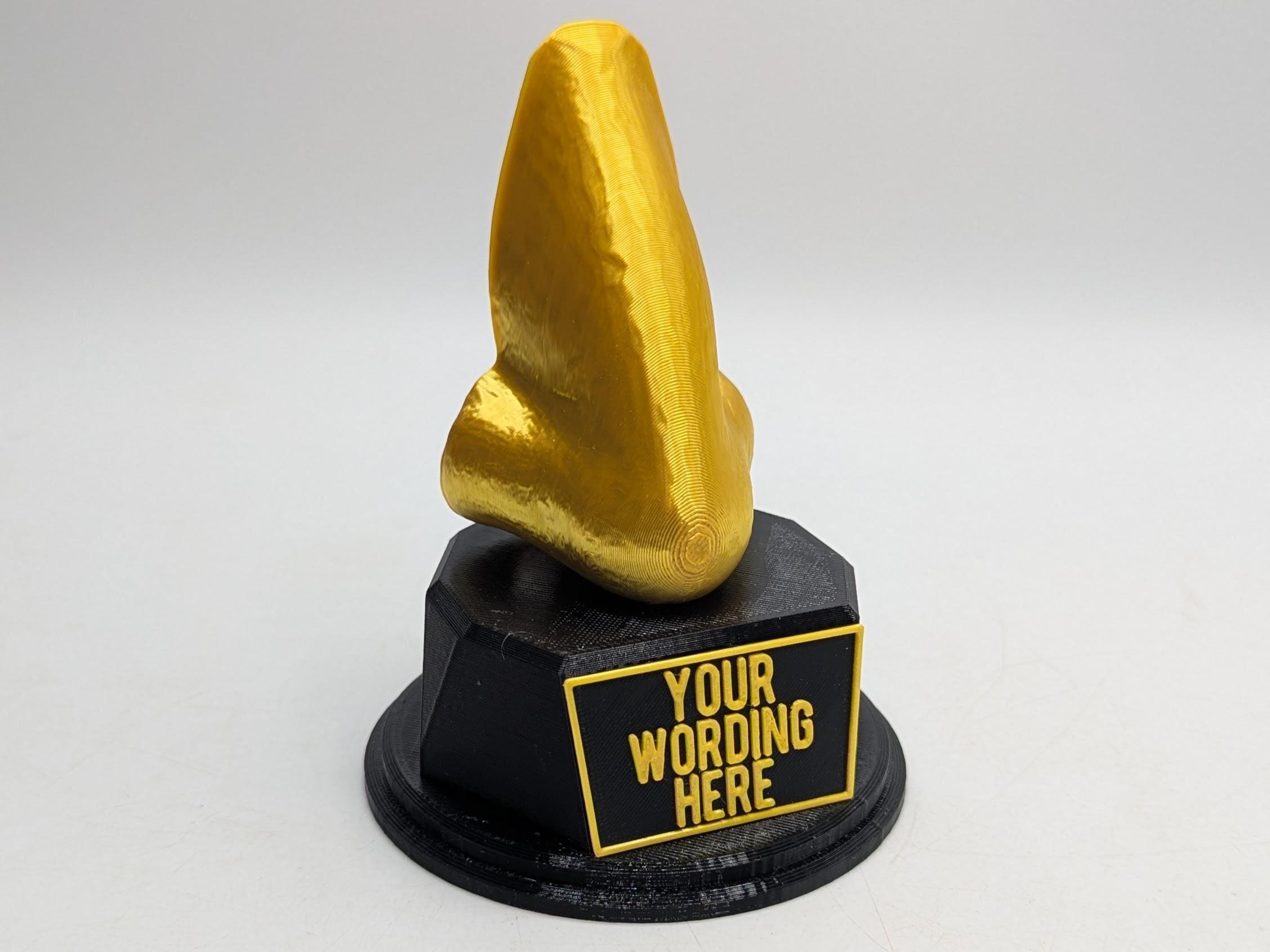 Personalised Nose Trophy, Best Nose Picker Trophy, Nosey Award Trophy, Big Nose Trophy, Nosiest Person Award, Funny Nose Gift, Nose Award