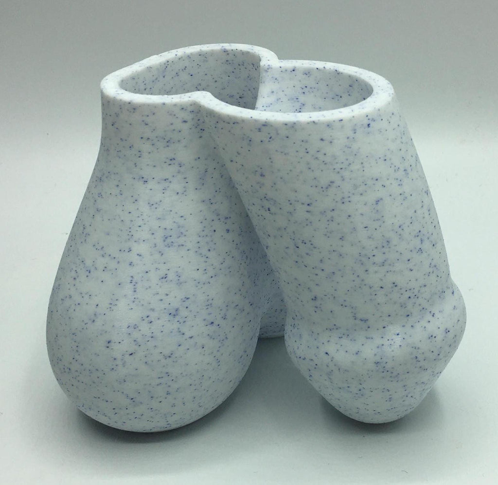 Penis Planter, Cactus Penis Pen Pot, The Grower, Cactus Succulent Planter, Indoor Storage Pot, Novelty Penis Shape Gift, Funny Willy Planter