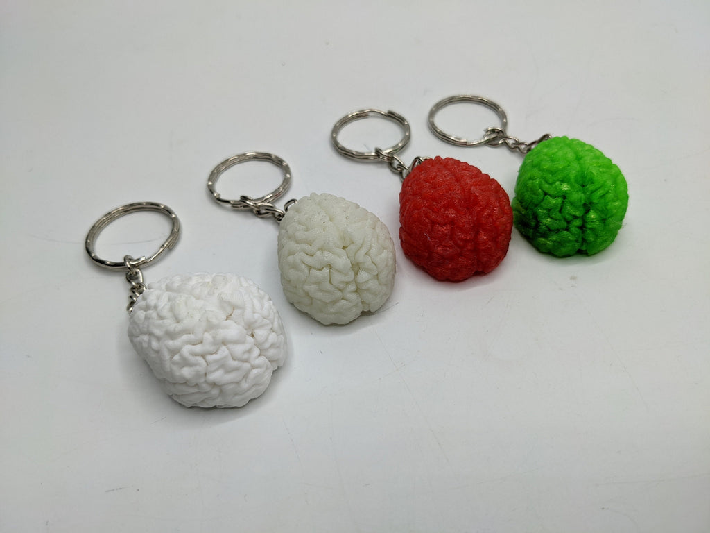 Human Brain Keyring, Brain Keychain, Brain Science Gift, Neurology Gift Keyring, Biology Student Gift, Halloween Keyring Gift, Brain Bag Tag