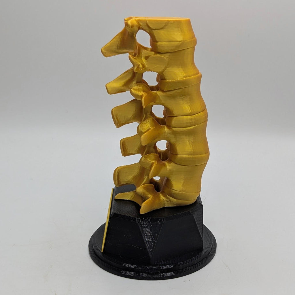 Personalised Spine Trophy, Spinal Column Trophy, Doctor Trophy Award, Back Bone Award, Back Trophy, Custom Trophy Award, Back Spine Award