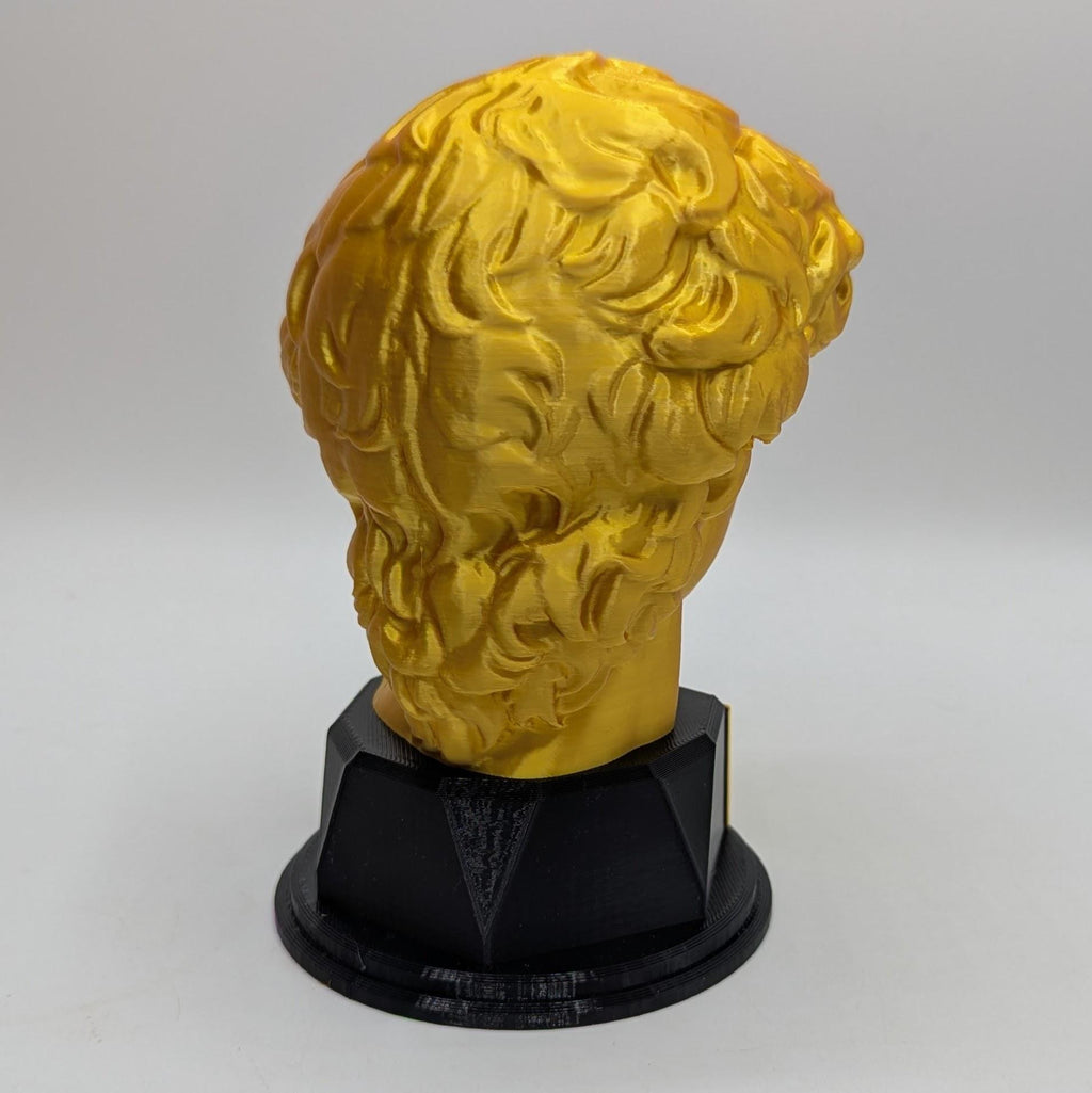 Personalised David's Head Trophy, David's Head Award, Best Employee Award, Office Trophy, Custom Trophy, Golden David Head Award, David Head