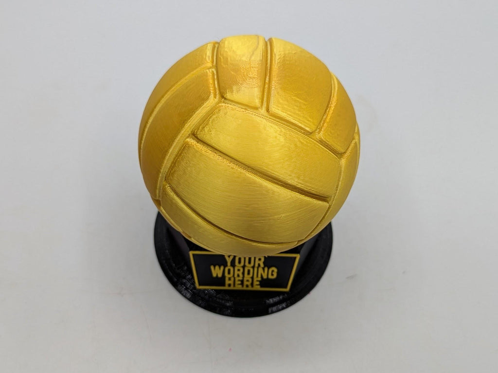 Personalised Netball Trophy, Best Netball Player Award, Netball Award, Gift for Netball Player, Personalized Netball Gift, Netball Team Gift