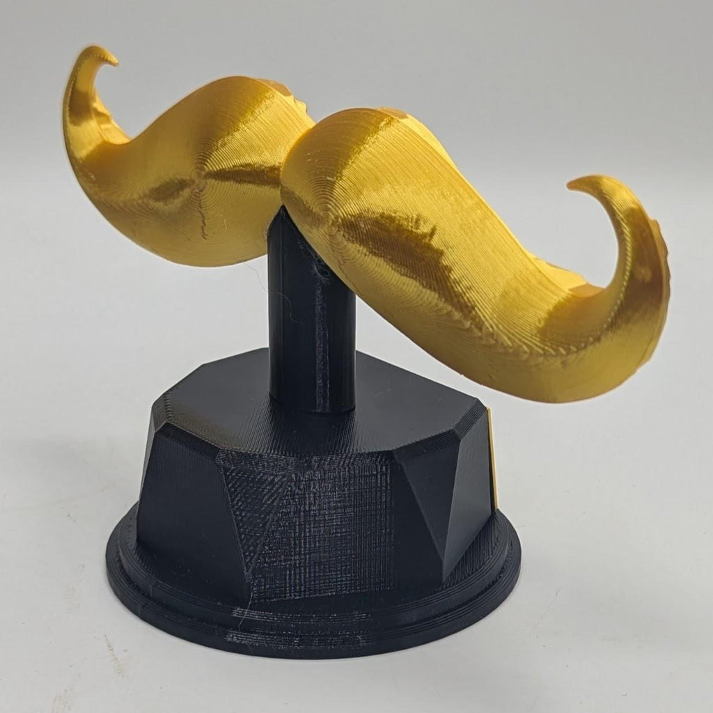 Personalised Moustache Trophy, Movember Award Gift, Custom Trophy Gift, Moustache Award Gift, Office Trophy, Best Moustache Gift, Moustache