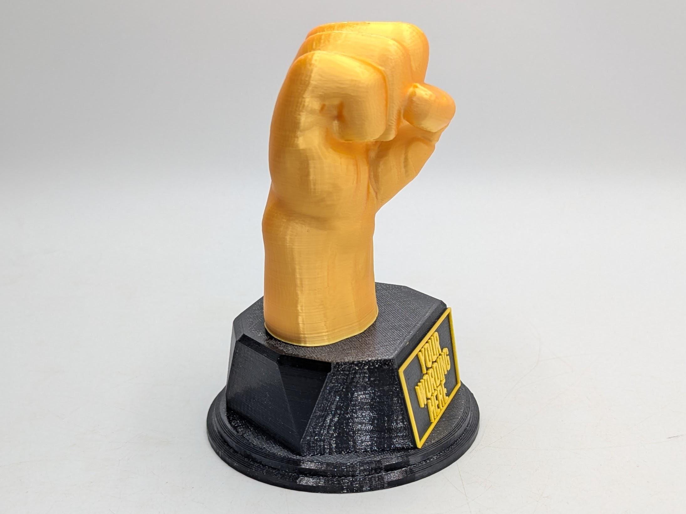 Personalised Fist Trophy / Fist Trophy / Clench Fist Award / Joke Fist Award / Gift for friend Joke Award / Boxer Trophy / Boxing Award Gift