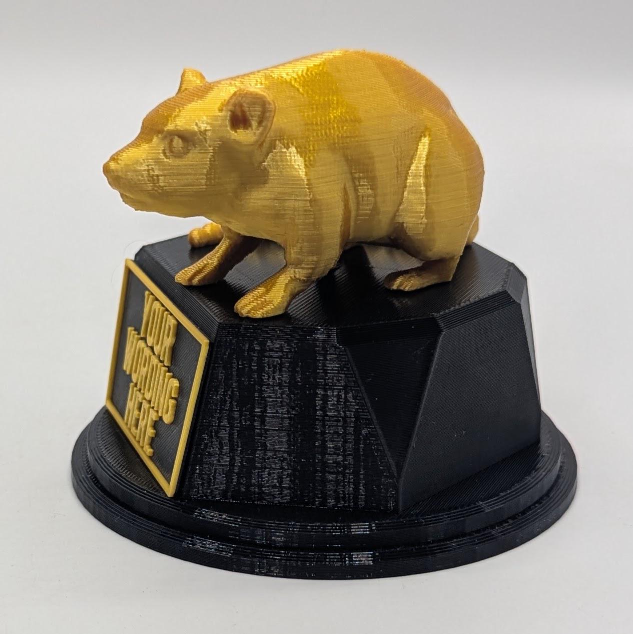 Personalised Rat Trophy, Dirty Rat Trophy, Biggest Rat Award, Custom Trophy, Rat Lover Gift, Funny Trophy, Office Rat Trophy, Rat Owner Gift