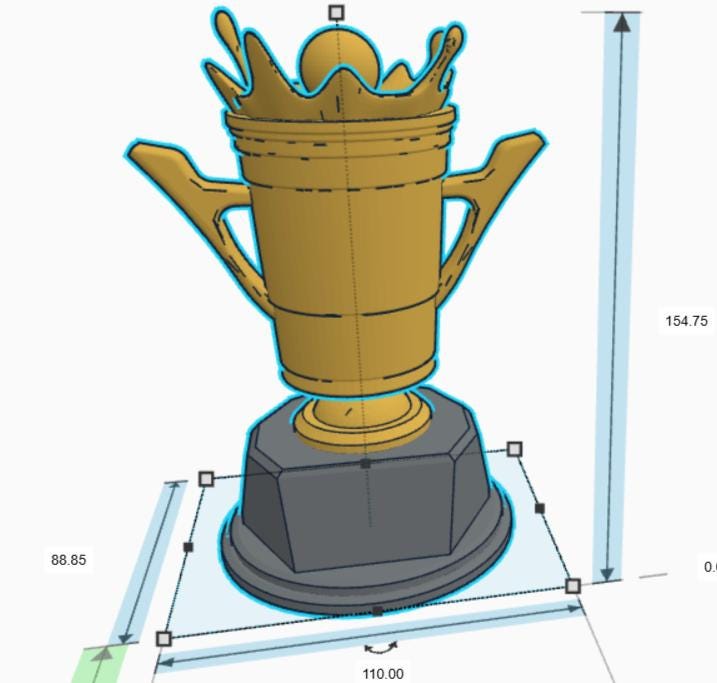 Personalised Beer Pong Trophy, Stag Night Trophy, Biggest Drinker Award, Custom Trophy, Beer Lover Gift, Funny Trophy, Office Beer Trophy