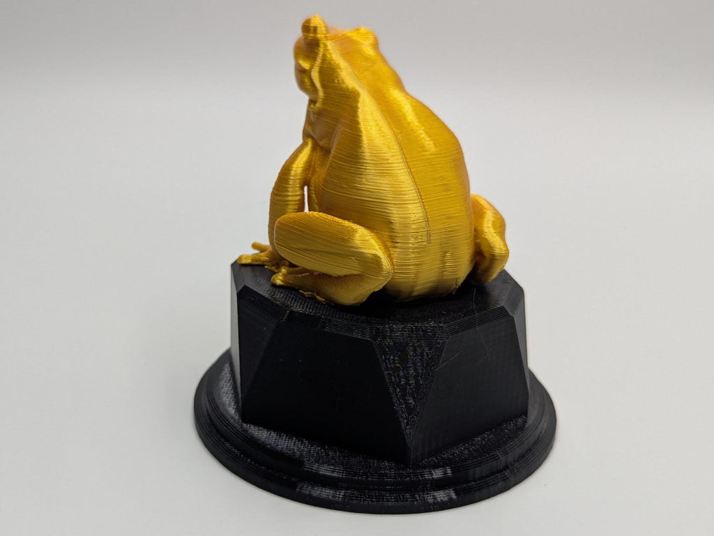 Personalised Frog Trophy, Grumpy Frog Trophy, Golden Frog Award, Custom Trophy, Golden Frog, Funny Trophy, Frog Lover Gift, Office Trophy