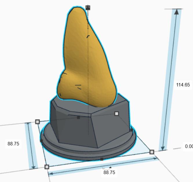 Personalised Nose Trophy, Best Nose Picker Trophy, Nosey Award Trophy, Big Nose Trophy, Nosiest Person Award, Funny Nose Gift, Nose Award