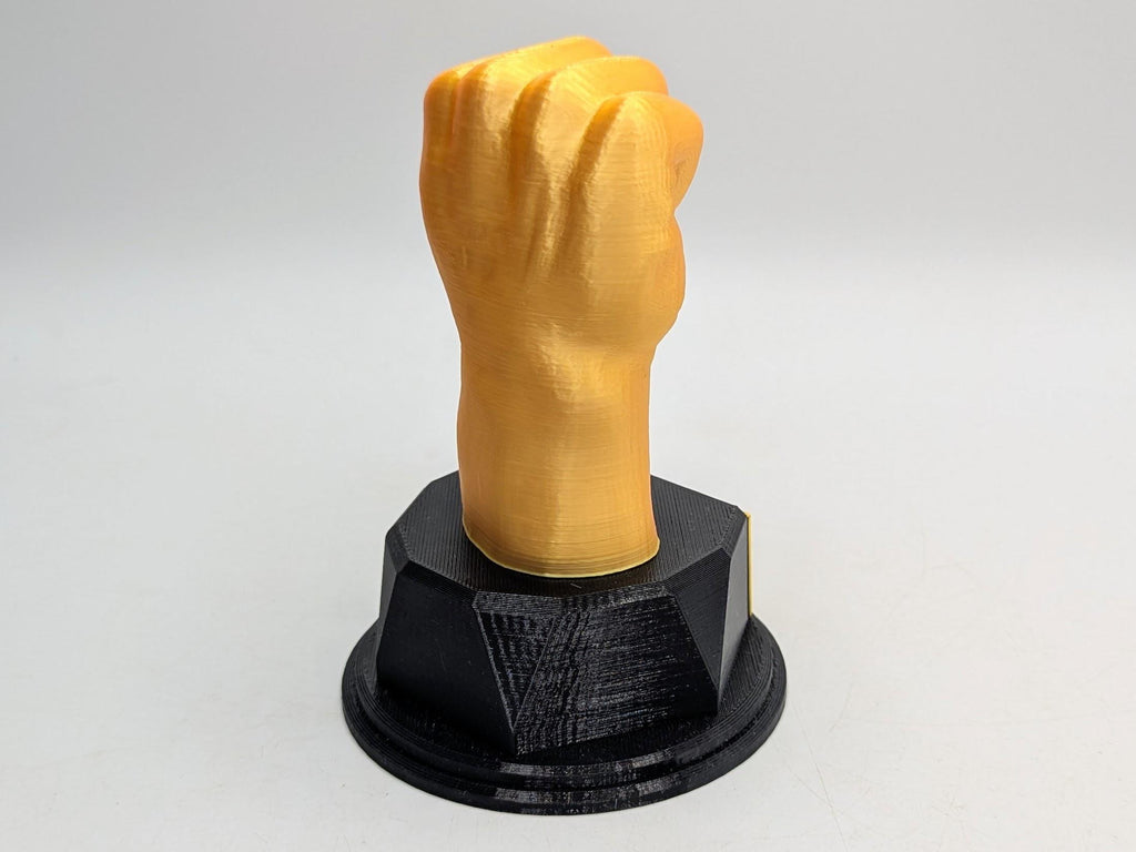 Personalised Fist Trophy / Fist Trophy / Clench Fist Award / Joke Fist Award / Gift for friend Joke Award / Boxer Trophy / Boxing Award Gift