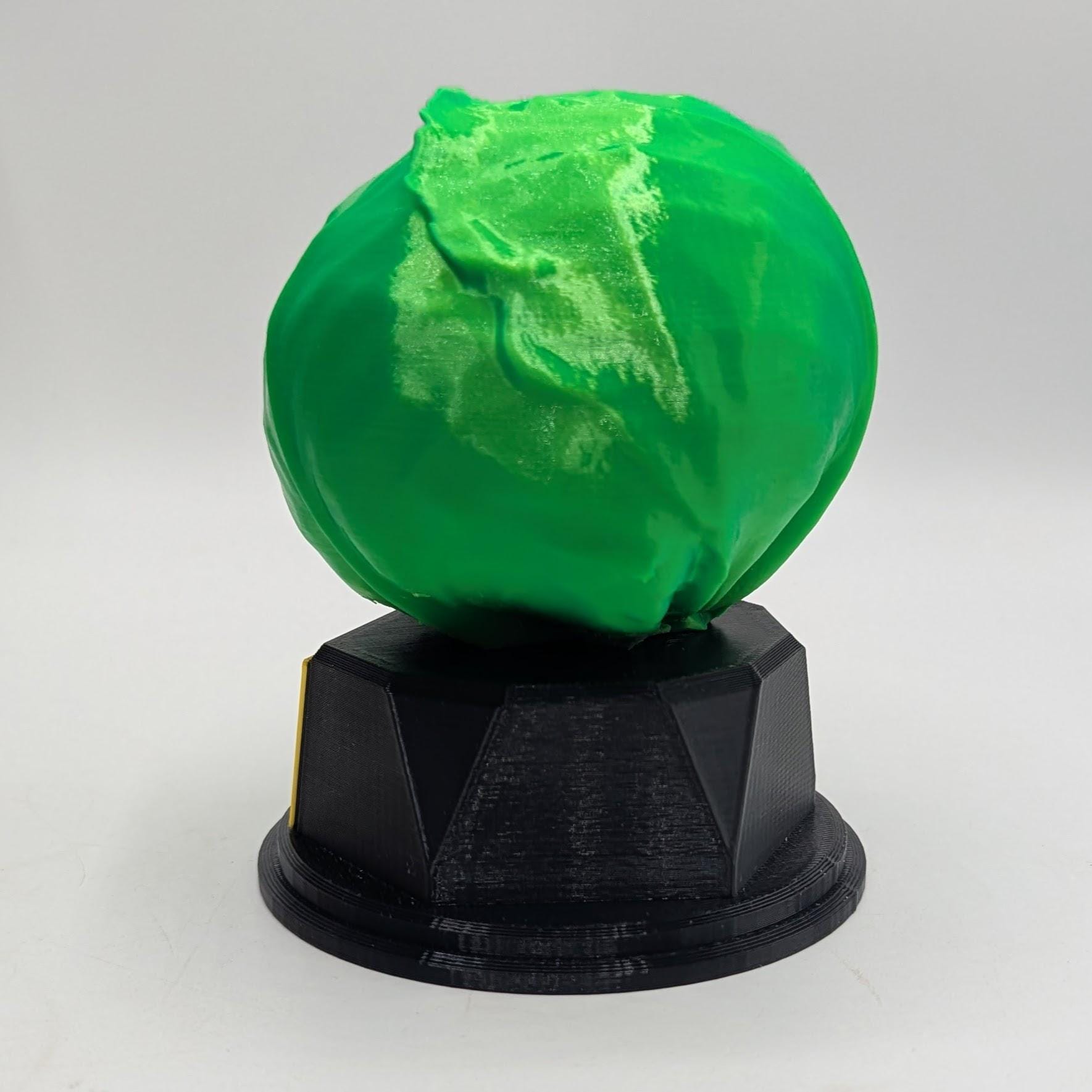 Personalised Cabbage Trophy, Cabbage Fun Trophy, Cabbage Lover Gift, Cabbage Award, Best Cabbage Gift, Gardener Award Gift, Smelly Cabbage