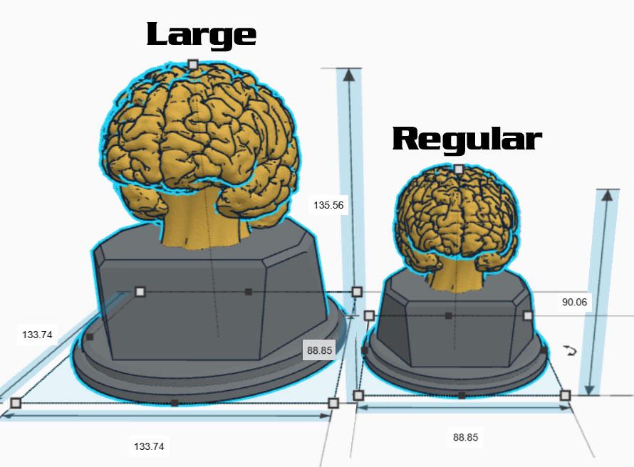 Personalised Brain Trophy, Big Brain Trophy, Best Quizzer Trophy, Clever Award Gift, Biggest Brain Trophy, Brain Award, Knowledge Trophy