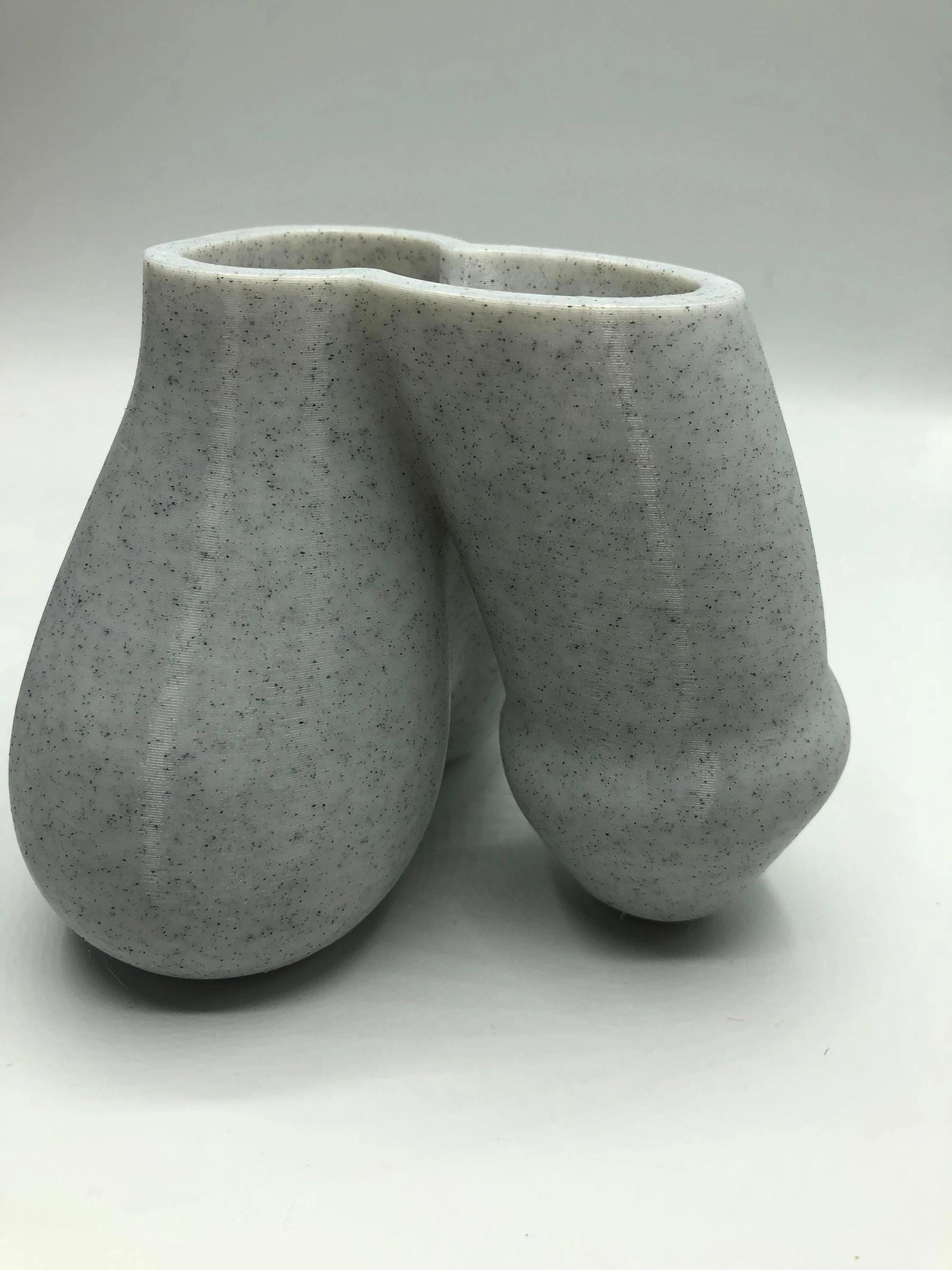 Penis Planter, Cactus Penis Pen Pot, The Grower, Cactus Succulent Planter, Indoor Storage Pot, Novelty Penis Shape Gift, Funny Willy Planter