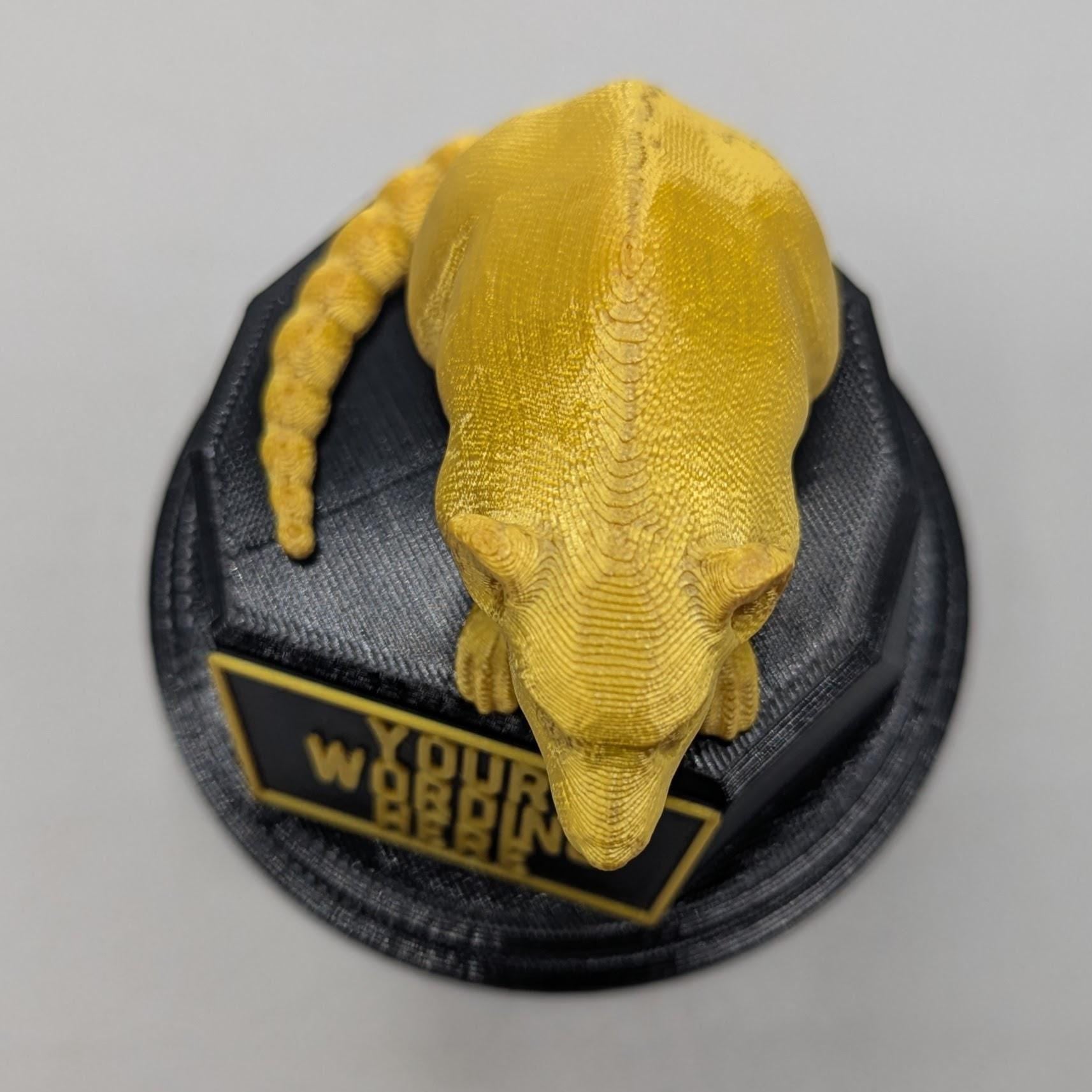 Personalised Rat Trophy, Dirty Rat Trophy, Biggest Rat Award, Custom Trophy, Rat Lover Gift, Funny Trophy, Office Rat Trophy, Rat Owner Gift