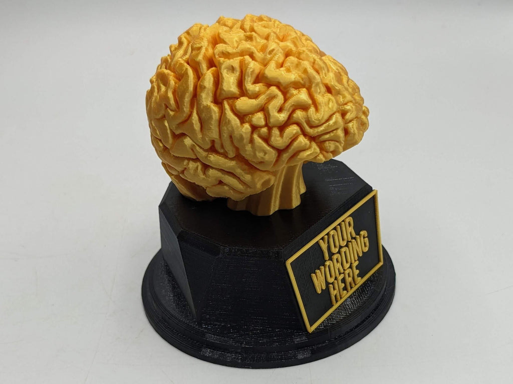 Personalised Brain Trophy, Big Brain Trophy, Best Quizzer Trophy, Clever Award Gift, Biggest Brain Trophy, Brain Award, Knowledge Trophy