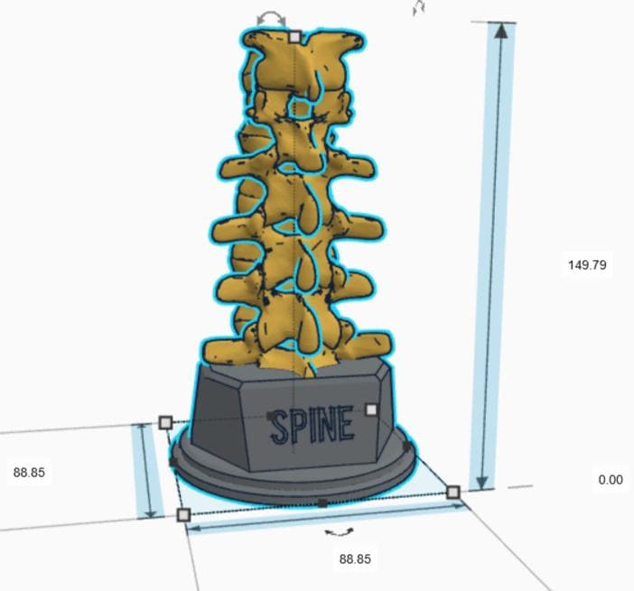Personalised Spine Trophy, Spinal Column Trophy, Doctor Trophy Award, Back Bone Award, Back Trophy, Custom Trophy Award, Back Spine Award