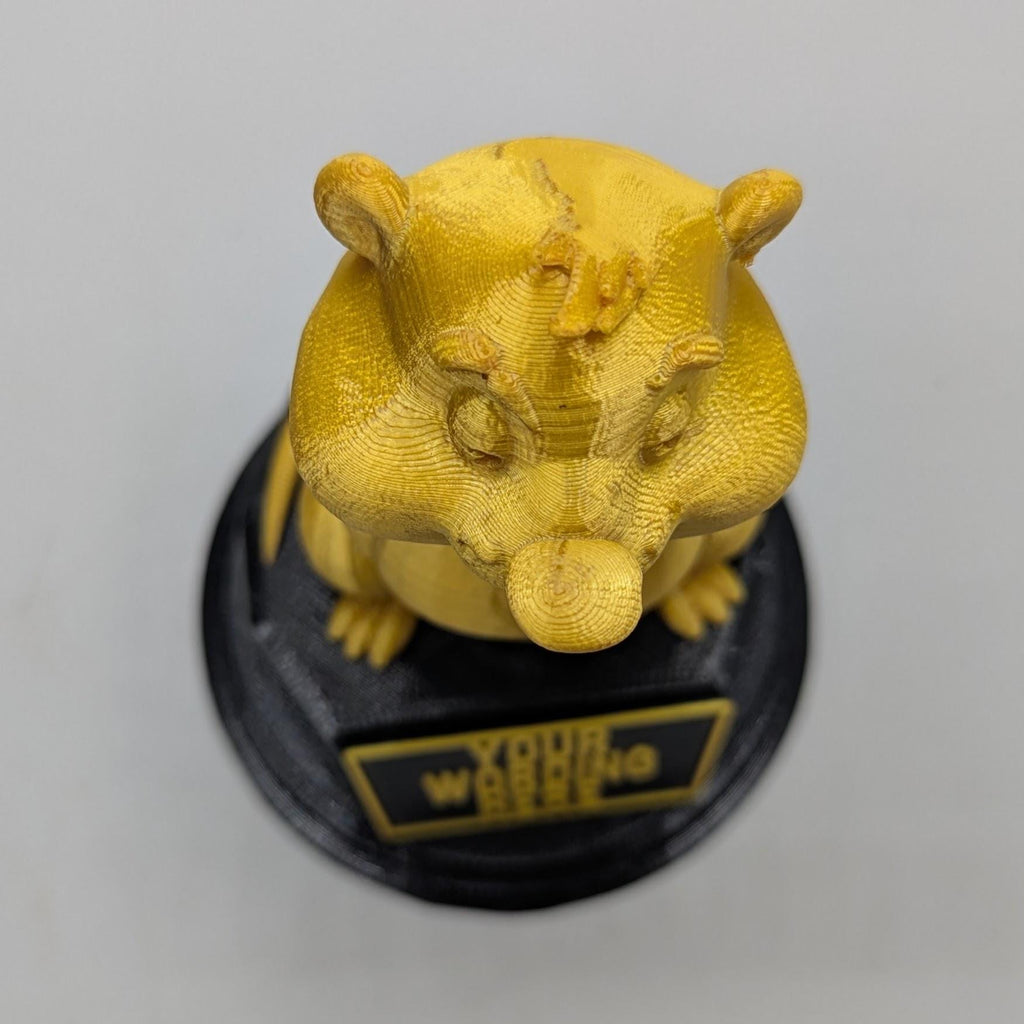 Personalised Gopher Trophy, Ground Squirrel Trophy, Gift for Gopher Lover, Custom Trophy Gift, Gopher Award, Office Trophy, Animal Lover