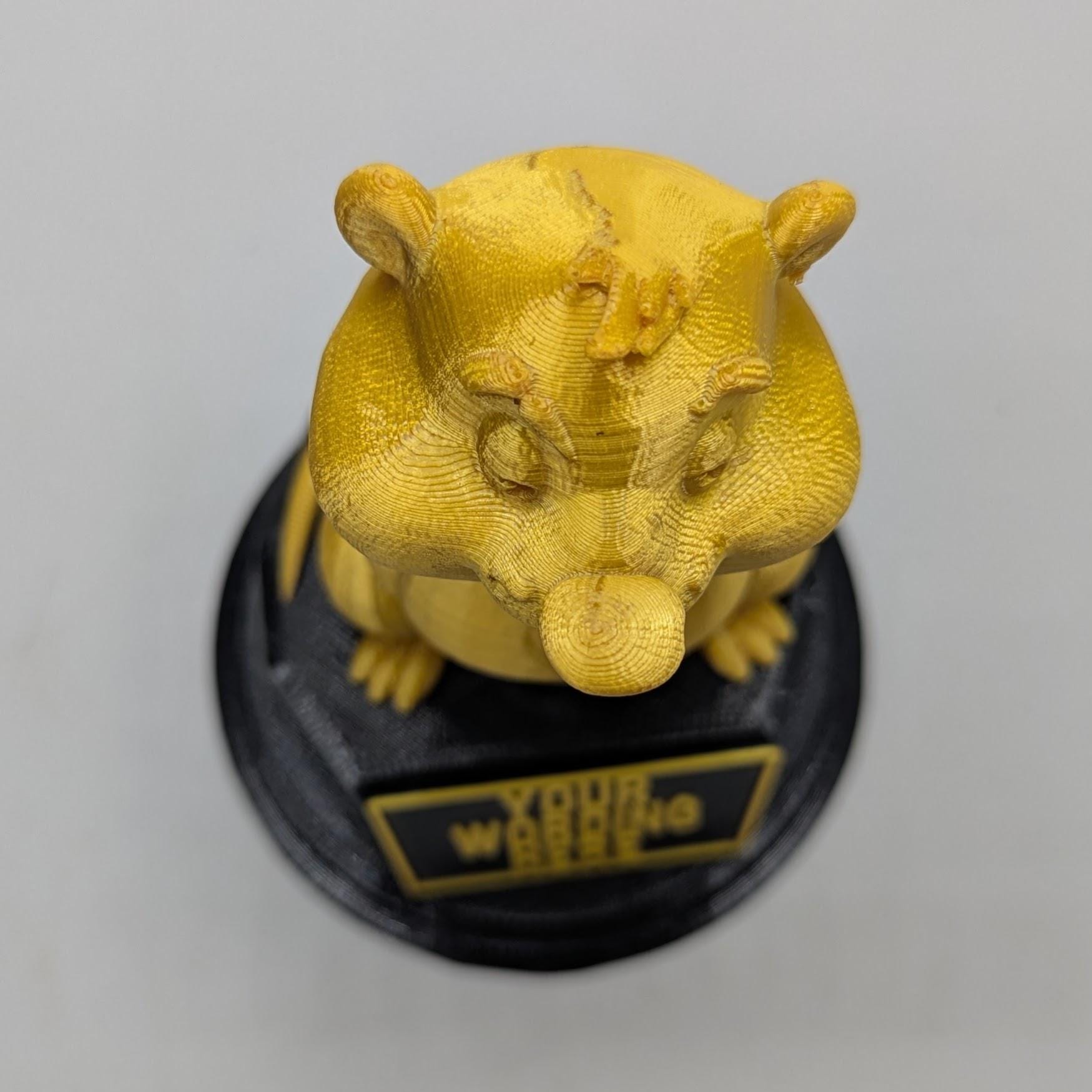 Personalised Gopher Trophy, Ground Squirrel Trophy, Gift for Gopher Lover, Custom Trophy Gift, Gopher Award, Office Trophy, Animal Lover