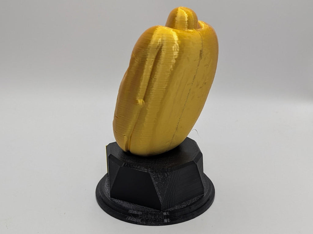 Personalised Hotdog Trophy, Wiener Award, Gift for friend, Joke Award, Personalised Trophy Award, Chilli Dog Award, Joke Hotdog Gift, Hotdog