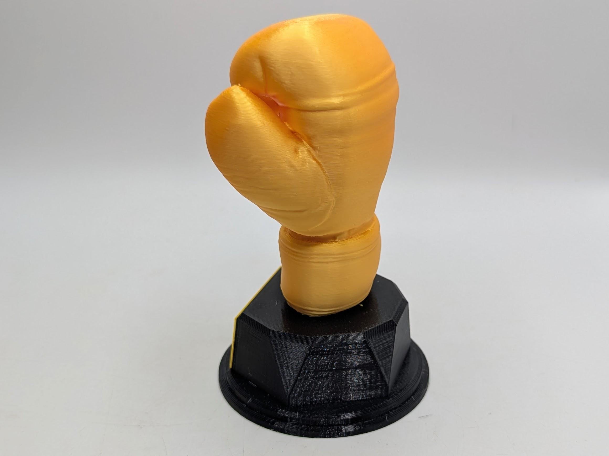 Personalised Boxing Trophy, Glove Trophy, Boxing Award Gift, Boxing Glove Trophy, Gift for Boxer, Boxing Club Trophy, Boxing Coach Trophy