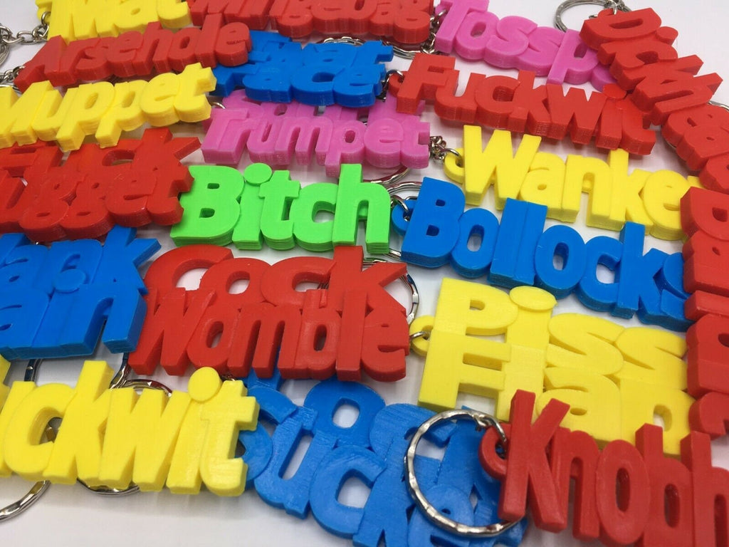 Insult Keyring / Swearword Keyring / Rude Gift for Friend / Insulting Bag Tag Gift / Adult Keyring / Funny Keychain / Insult Keyring / Gift