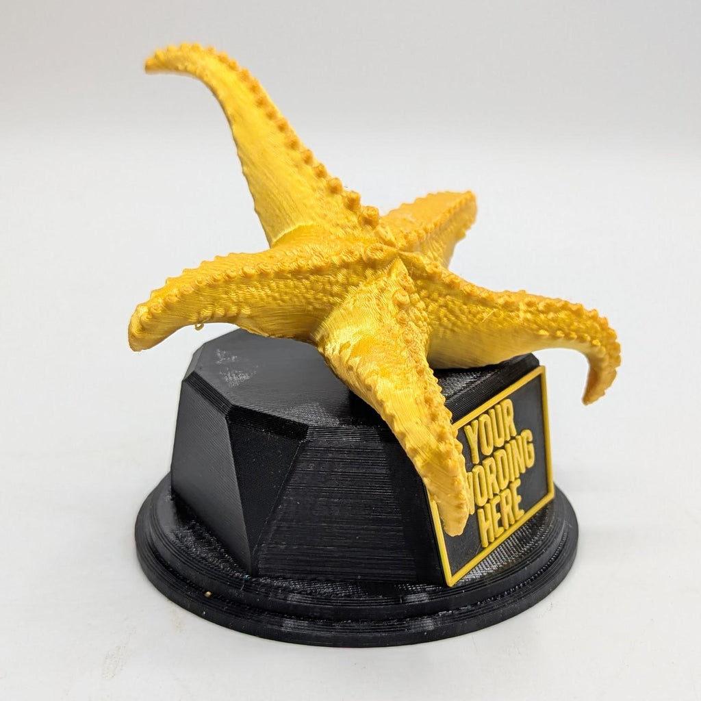 Personalised Starfish Trophy, Starfish Award Gift, Starfish Joke Gift, Custom Trophy Award, Starfish Shaped Gift, Chocolate Starfish Award