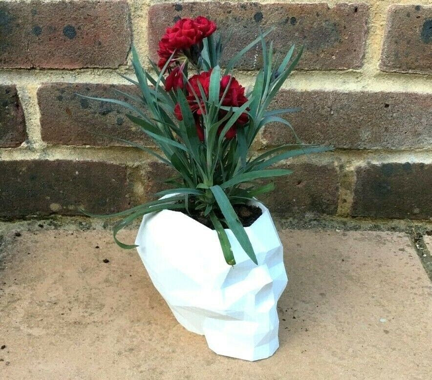 Skull Plant Pot, Skull Planter, Gothic Plant Pot Gift, Skull Ornament, Gothic Garden Pot, Skull Flower Pot, Gothic Home Decor, Skull Pot