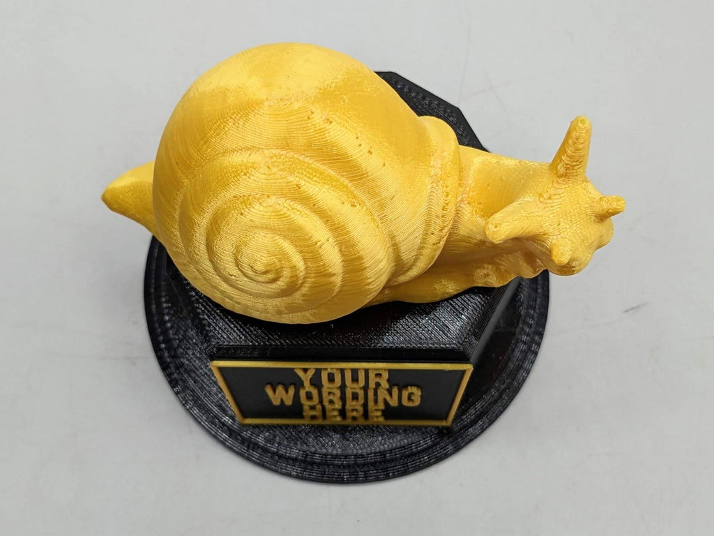 Personalised Snail Trophy / Snail Trophy / Slowest Person Award / Slow Gift / Funny Snail Award / Snail Joke Trophy / Gift for Someone Slow