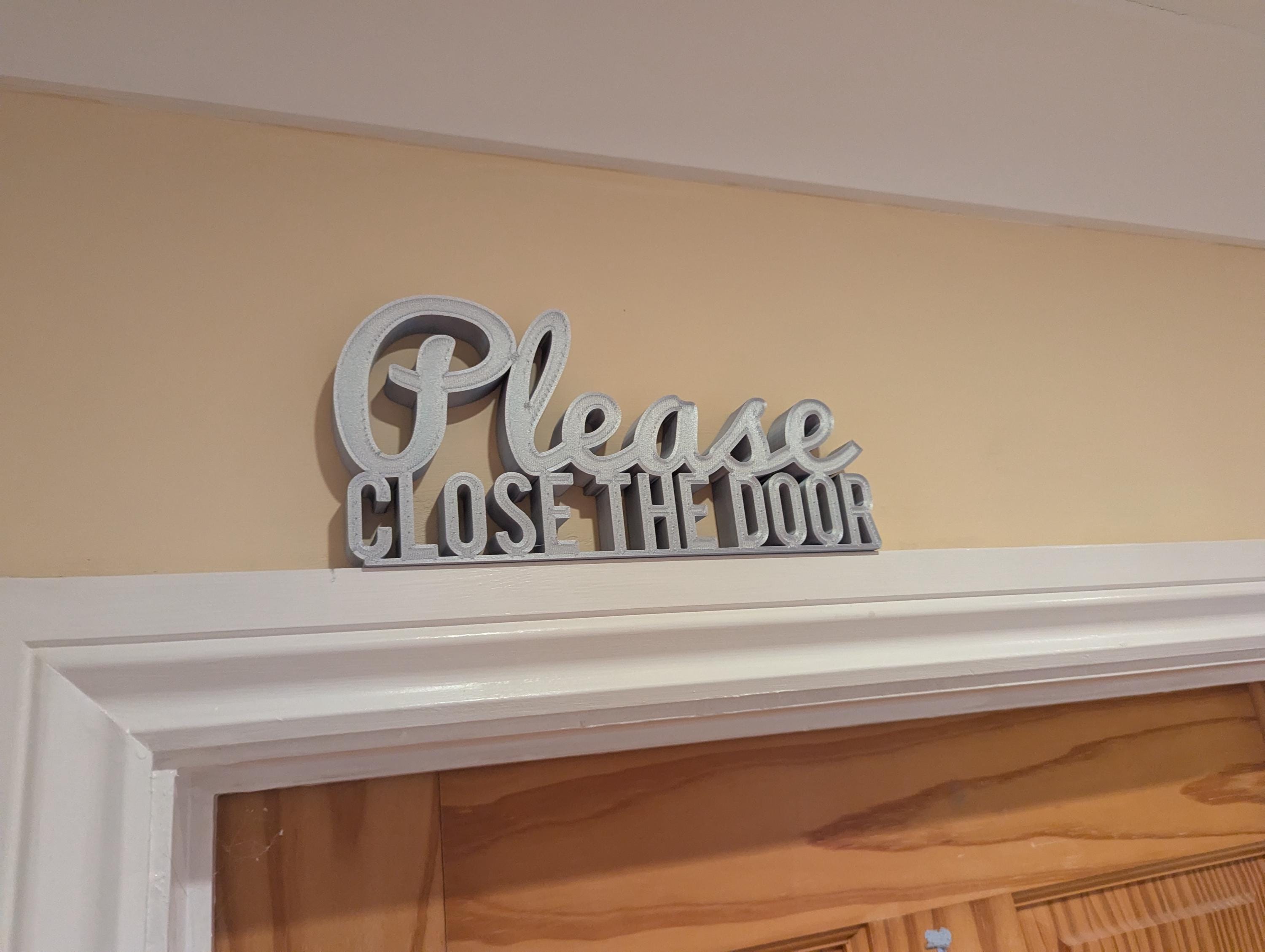 Please Close The Door Sign, Bye Door Sign, Door Topper, Custom Door Sign, Close The Door Sign, Above Door Sign, Quirky Door Sign, Goodbye
