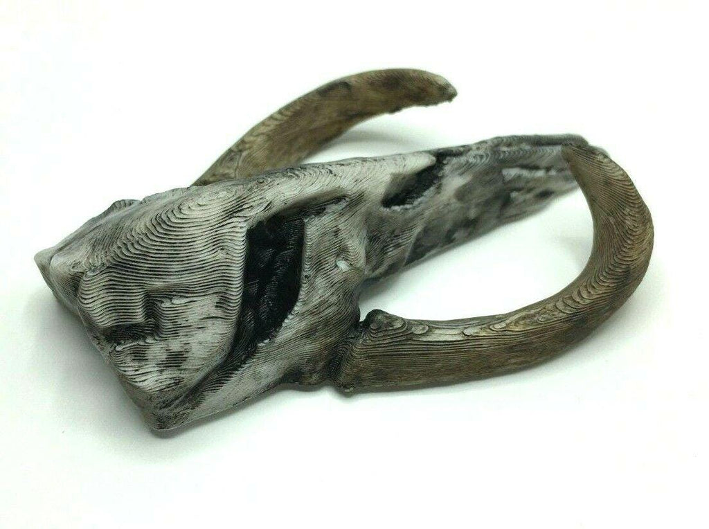 Mythosaur Skull Fridge Magnet, Skull Shaped Magnet, Hand Finished Magnet, Sci-Fi Magnet,  Skull Fridge Magnet, Gothic Skull Magnet Gift