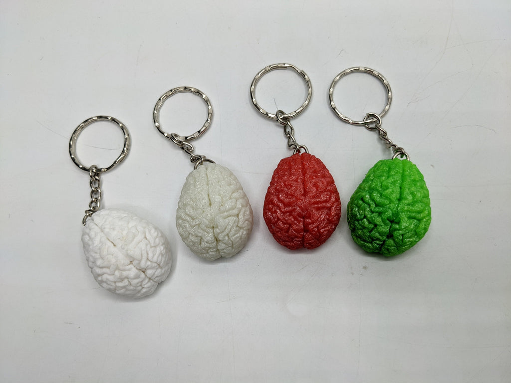 Human Brain Keyring, Brain Keychain, Brain Science Gift, Neurology Gift Keyring, Biology Student Gift, Halloween Keyring Gift, Brain Bag Tag