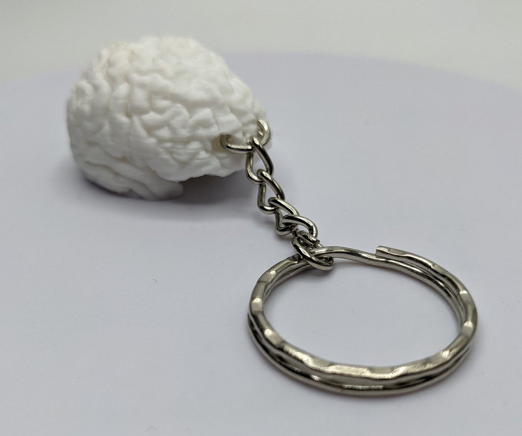 Human Brain Keyring, Brain Keychain, Brain Science Gift, Neurology Gift Keyring, Biology Student Gift, Halloween Keyring Gift, Brain Bag Tag