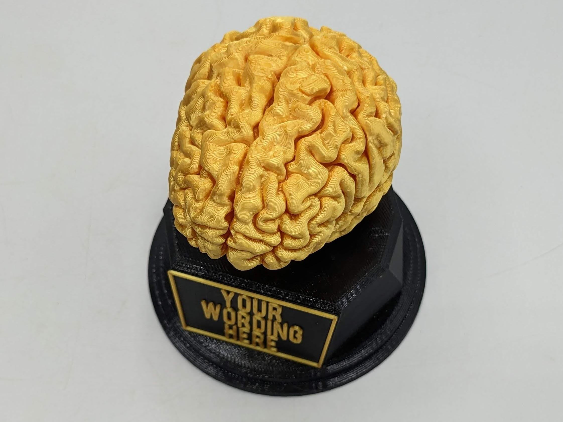 Personalised Brain Trophy, Big Brain Trophy, Best Quizzer Trophy, Clever Award Gift, Biggest Brain Trophy, Brain Award, Knowledge Trophy