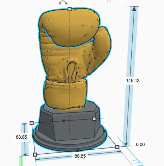 Personalised Boxing Trophy, Glove Trophy, Boxing Award Gift, Boxing Glove Trophy, Gift for Boxer, Boxing Club Trophy, Boxing Coach Trophy