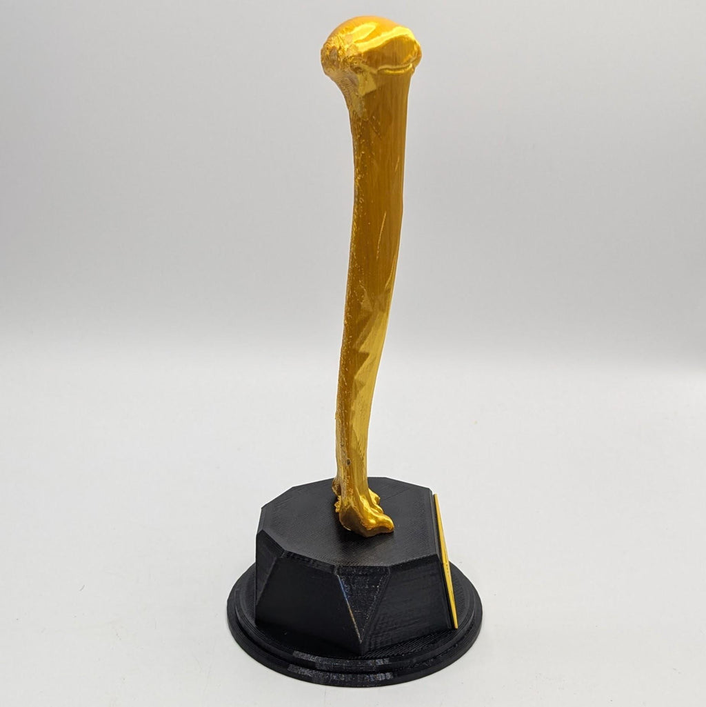 Personalised Humerus Bone Trophy, Humerus Bone Award Trophy, Bone Award Trophy, Custom Trophy Gift, Doctor Trophy Award, Skeleton Award