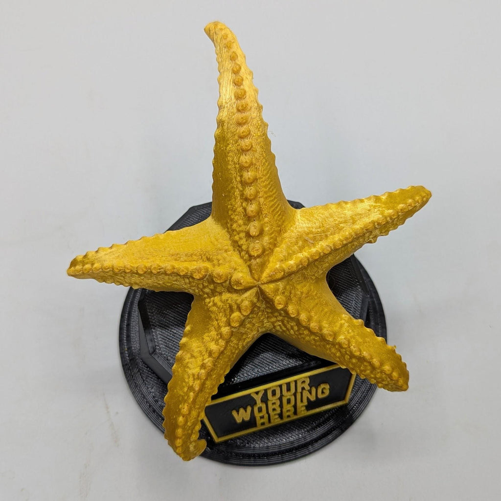 Personalised Starfish Trophy, Starfish Award Gift, Starfish Joke Gift, Custom Trophy Award, Starfish Shaped Gift, Chocolate Starfish Award