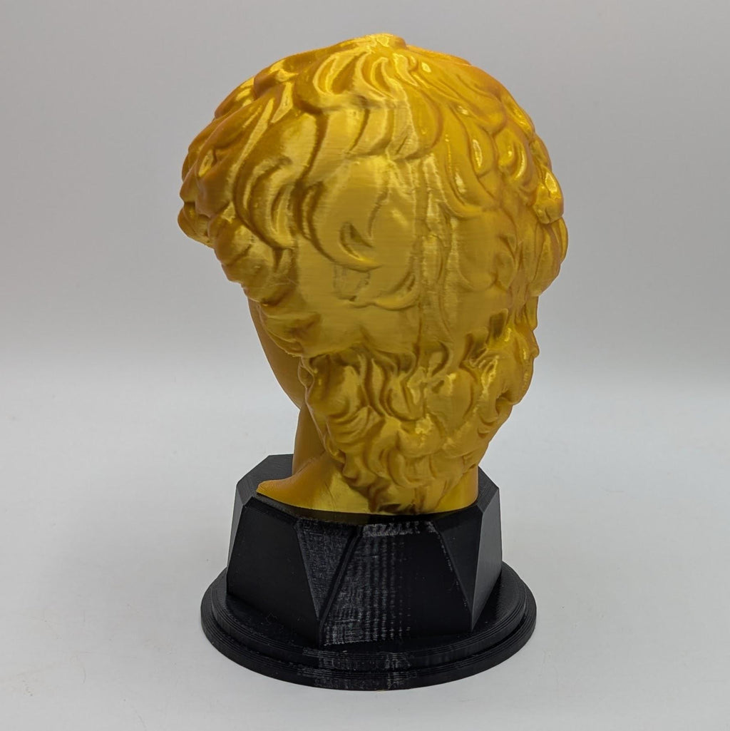 Personalised David's Head Trophy, David's Head Award, Best Employee Award, Office Trophy, Custom Trophy, Golden David Head Award, David Head