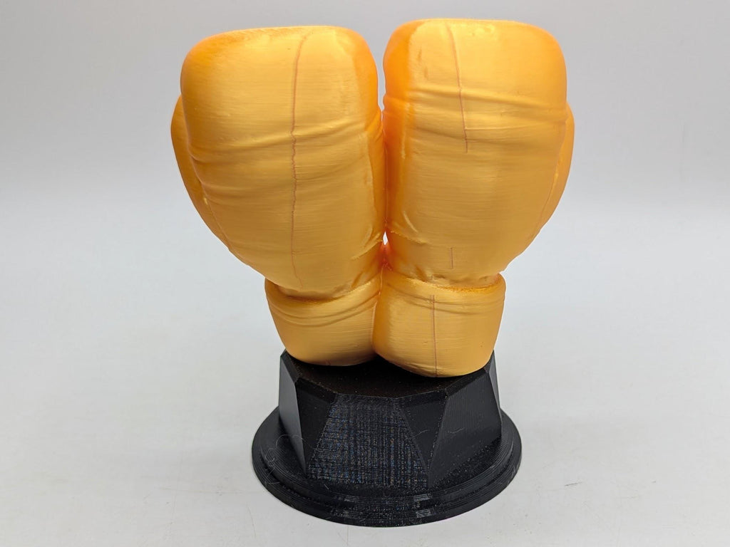 Personalised Boxing Trophy, Glove Trophy, Boxing Award Gift, Boxing Glove Trophy, Gift for Boxer, Boxing Club Trophy, Boxing Coach Trophy