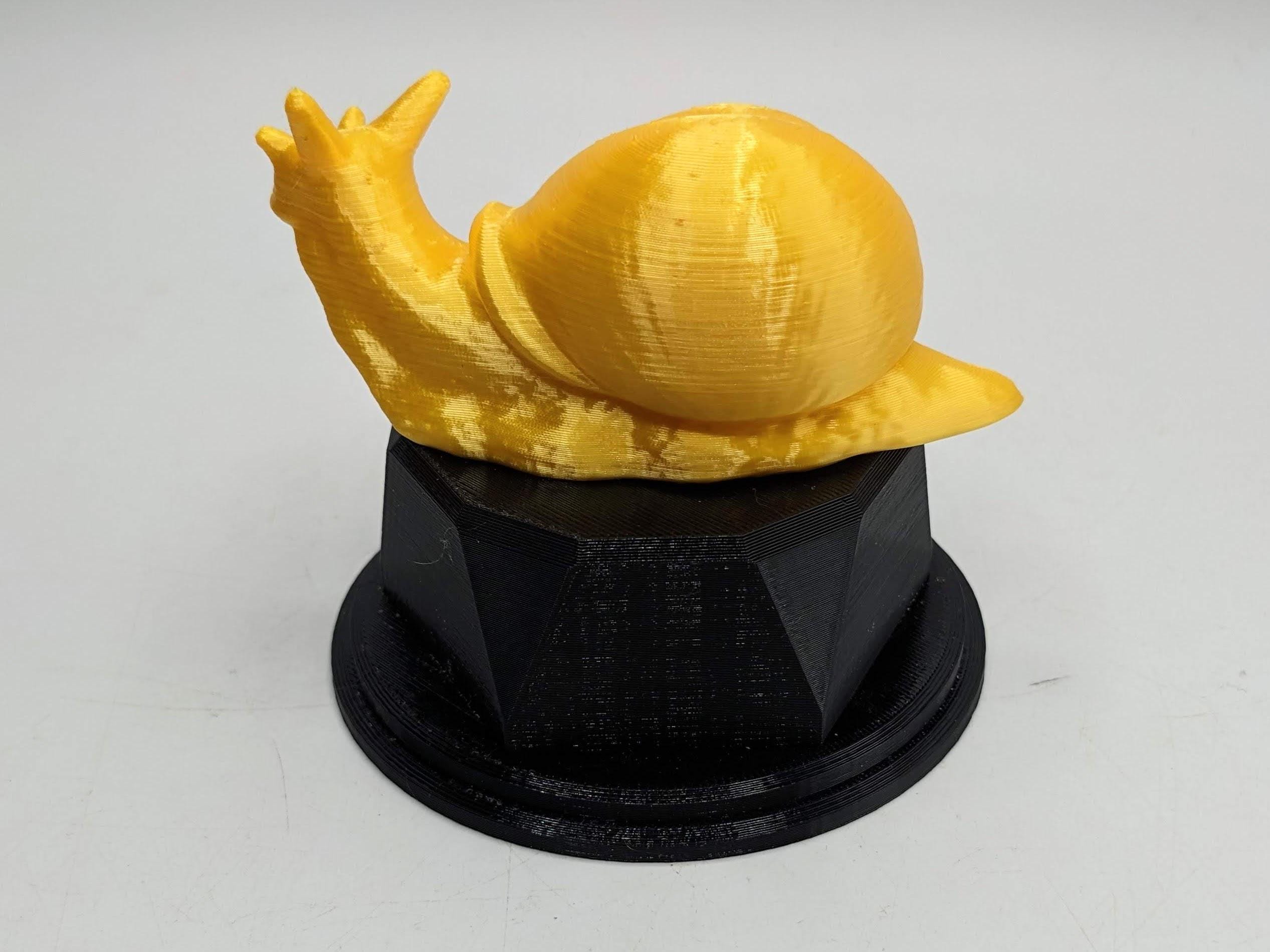 Personalised Snail Trophy / Snail Trophy / Slowest Person Award / Slow Gift / Funny Snail Award / Snail Joke Trophy / Gift for Someone Slow