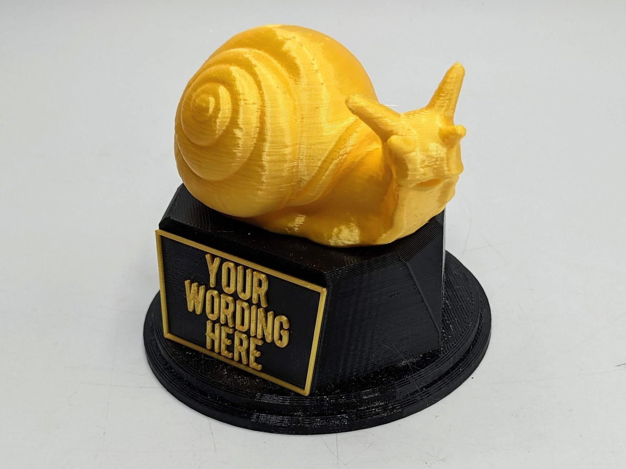 Personalised Snail Trophy / Snail Trophy / Slowest Person Award / Slow Gift / Funny Snail Award / Snail Joke Trophy / Gift for Someone Slow